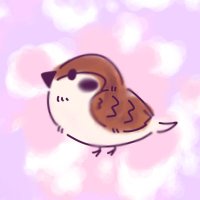すずめ(配信用) (@suzume_teardrop) 's Twitter Profile