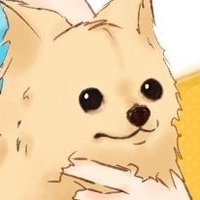 ボーダー🦉 (@border_st) 's Twitter Profile