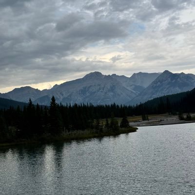 MahadAsim7's profile picture. 