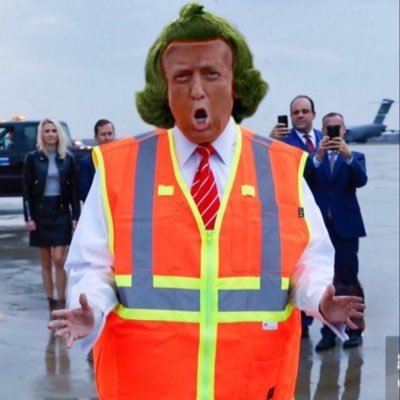 Radical Trans Activist, Harris/Walz 2024.