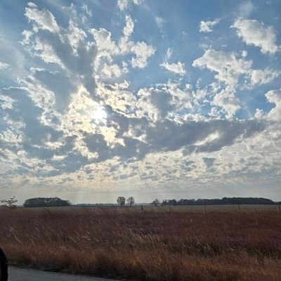 ThePatriotA36's profile picture. 