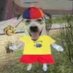 𝑺 𝒄 𝒖 𝒚 𝒎 (@hvrladino) Twitter profile photo 𝑺 𝒄 𝒖 𝒚 𝒎 (@hvrladino) Twitter profile photo
