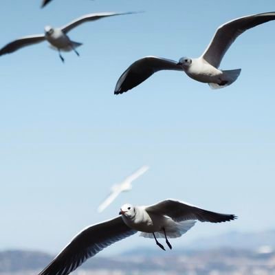 xc5035124826720's profile picture. 