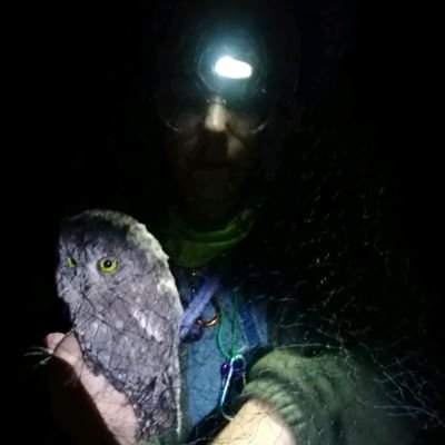 PhD candidate at @Unimi and @MUSE | BSc in Biology | MSc in Ecology and Ethology | Trainee bird ringer | Science and Nature addict |