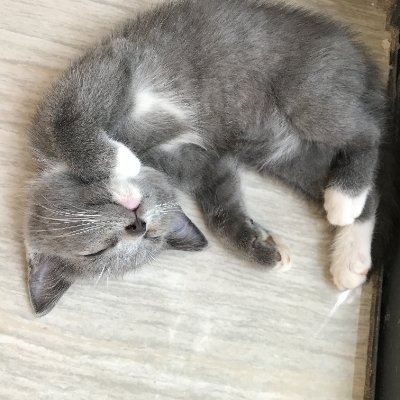 bewater66's profile picture. BE WATER