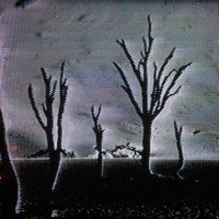 lookdeadtrees (@lookdeadtrees) 's Twitter Profile