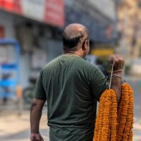 Ninjamonkey 🇮🇳 (@aryan_warlord) 's Twitter Profile Photo Ninjamonkey 🇮🇳 (@aryan_warlord) 's Twitter Profile Photo