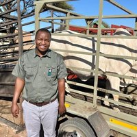 Dorsil Livestock and Logistics! (@molotokk9) 's Twitter Profile