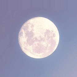 crashtest_838's profile picture. 