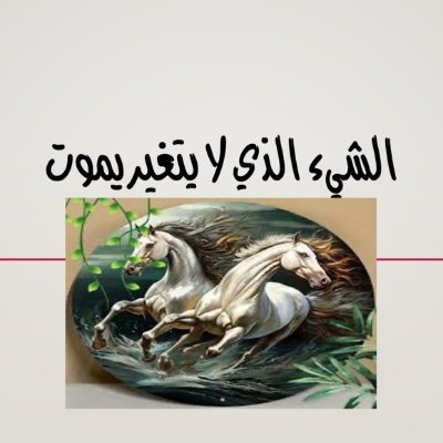ajras2006's profile picture. خبير ومخطط استراتيجي