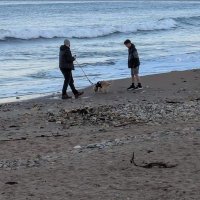 Parker (@parkersafc) 's Twitter Profile Photo Parker (@parkersafc) 's Twitter Profile Photo