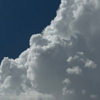 ريما (@reeeeeemii) 's Twitter Profile