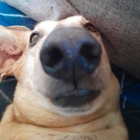 Agustín el más Zarpado (@elagus210904) 's Twitter Profile