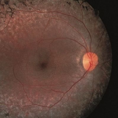 uniquefl0w's profile picture. 