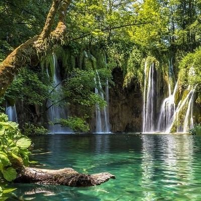 greencoupx's profile picture. A Green energy Company that believes in the future also using crypto to enhance the future