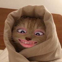 ที่หนึ่ง (@amwan1999) 's Twitter Profile