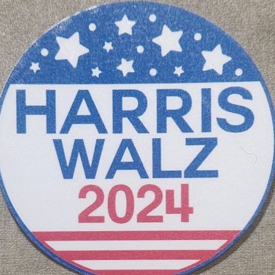 StopGOPNazis's profile picture. The death of American Democracy will be caused by NON-VOTERS.. ☠️ Register To Vote NOW + VOTE DEMOCRAT 🇺🇸 #BlueCrewLists 🌊