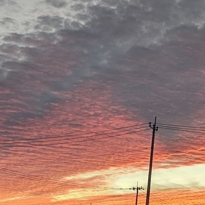 foxhomhom's profile picture. 🫠人生周回遅れ🫠ただ今挽回中。Vtuberをメインに、ASMR、音楽、読書、ゲーム、昭和レトロ&レトロ風カルチャー、🐈‍⬛、🦊、その他サブカル諸々を好む、いつも眠い人。自動販売機に囲まれた部屋に住みたい。