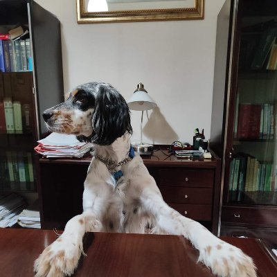 Avvocata, grande amante dei cani.
Nel tempo libero creo oggetti obsoleti come album per foto, segnalibri e biglietti.