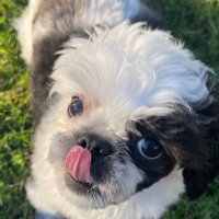 LTmack_7870 (@mcneil_bil80186) 's Twitter Profile