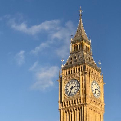 Young patriot of the United Kingdom and advocate for a free western world where the standard of living is better for all citizens. Reform UK Member.