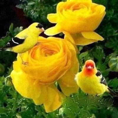 kulbirsingh6570's profile picture. 💔MeriMaut😔HiMeri😔ZindagiHai💔