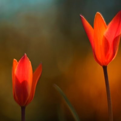 delloptiplex790's profile picture. 