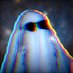 𝕊𝕙𝕚𝕥 𝕕𝕠 𝕋𝕣𝕒𝕤𝕙 (@shitdotrash) Twitter profile photo 𝕊𝕙𝕚𝕥 𝕕𝕠 𝕋𝕣𝕒𝕤𝕙 (@shitdotrash) Twitter profile photo