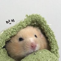 𝐌𝐢𝐧𝐤𝐲 (@minky_way825) 's Twitter Profile Photo 𝐌𝐢𝐧𝐤𝐲 (@minky_way825) 's Twitter Profile Photo