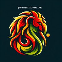 Syli National de Guinée FR 🇬🇳 (@sylinational_fr) 's Twitter Profile