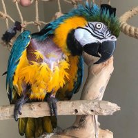 Karen Adam (@karenadam13) 's Twitter Profile