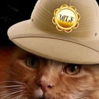 Angel Jaffa. luvs Frisky Badgie and Otis 💔GG 💔 (@myjaffa) 's Twitter Profile Photo Angel Jaffa. luvs Frisky Badgie and Otis 💔GG 💔 (@myjaffa) 's Twitter Profile Photo