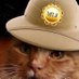Angel Jaffa. luvs Frisky Badgie and Otis 💔GG 💔 (@myjaffa) Twitter profile photo Angel Jaffa. luvs Frisky Badgie and Otis 💔GG 💔 (@myjaffa) Twitter profile photo
