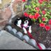 ellen mcrae (@ellen_mcra9749) Twitter profile photo ellen mcrae (@ellen_mcra9749) Twitter profile photo