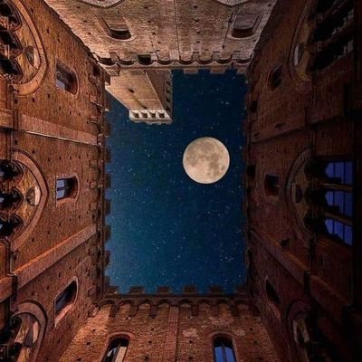 ARayan_Saidy's profile picture. ‏‏‏‏‏‏‏‏‏‏‏‏‏‏‏‏‏‏‏‏‏‏‏‏‏‏‏‏شاب مصري صعيدي فخور بوطني وجيشي
                         لولا خوفي من الرحمن لجعلت الريان سابع أركان الايمان