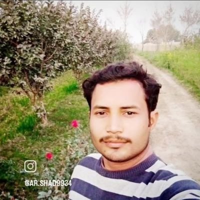 Arshad5117's profile picture. 