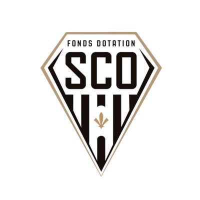 SCO FONDS DOTATION Profile