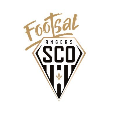 Angers SCO Footsal Profile