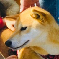 よっしー (@awefeeling) Twitter profile photo