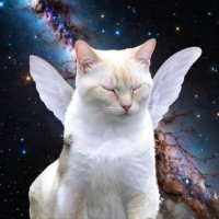 manifest (@manifestwithsol) 's Twitter Profile Photo manifest (@manifestwithsol) 's Twitter Profile Photo