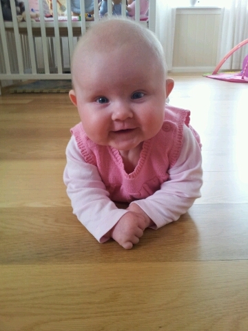 tintindolemo's profile picture. 