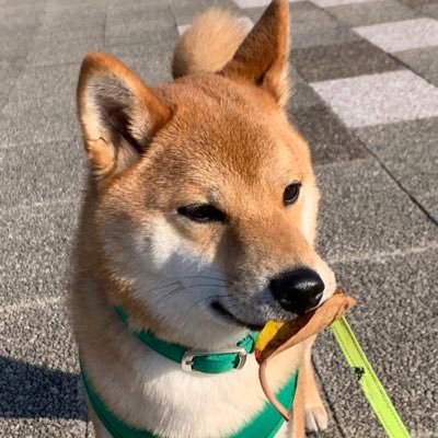 名古屋グランパスファミリー #1 #7 #10 呟きたい事を呟くだけ