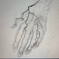Salman Arain (@realarainmd) 's Twitter Profile Photo Salman Arain (@realarainmd) 's Twitter Profile Photo