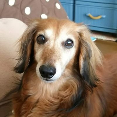 ぴのこさんのプロフィール画像