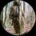 Vengeful One (@rodstro1988) Twitter profile photo Vengeful One (@rodstro1988) Twitter profile photo