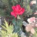 saygılı ol yeter.. (@muratkirmaci58) Twitter profile photo saygılı ol yeter.. (@muratkirmaci58) Twitter profile photo