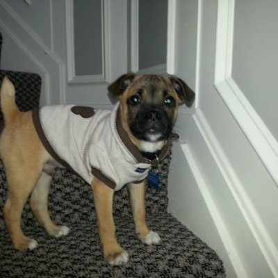 lentzdt's profile picture. 