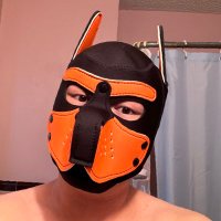 Pup Max (@pupmaxel) Twitter profile photo