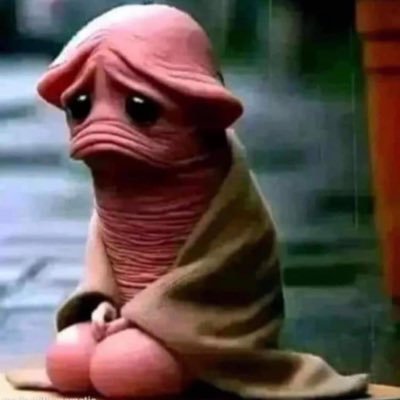 sh1tzzy's profile picture. I do dumb shit and it works