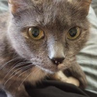 DJ JenCat (@djencat) 's Twitter Profile Photo DJ JenCat (@djencat) 's Twitter Profile Photo